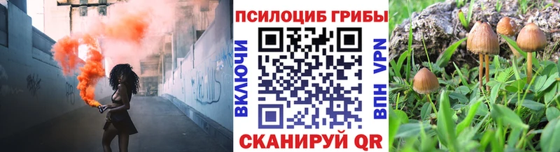 мега ссылки  Владикавказ  Галлюциногенные грибы Magic Shrooms 