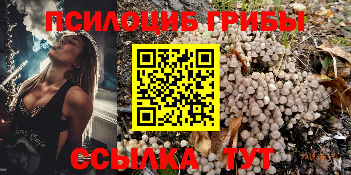 Псилоцибиновые грибы ЛСД Владикавказ